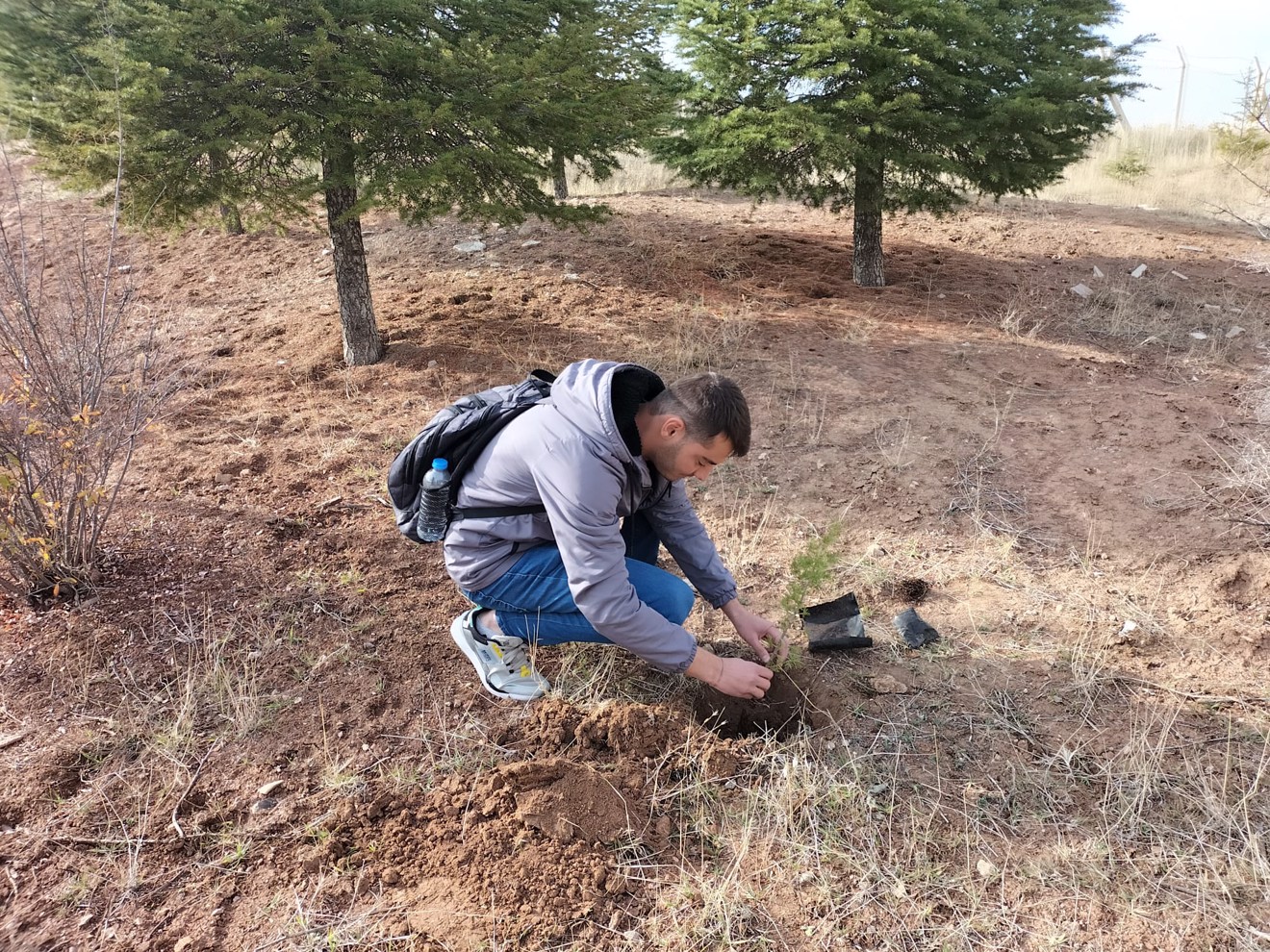 Her Çalışan Bir Fidan